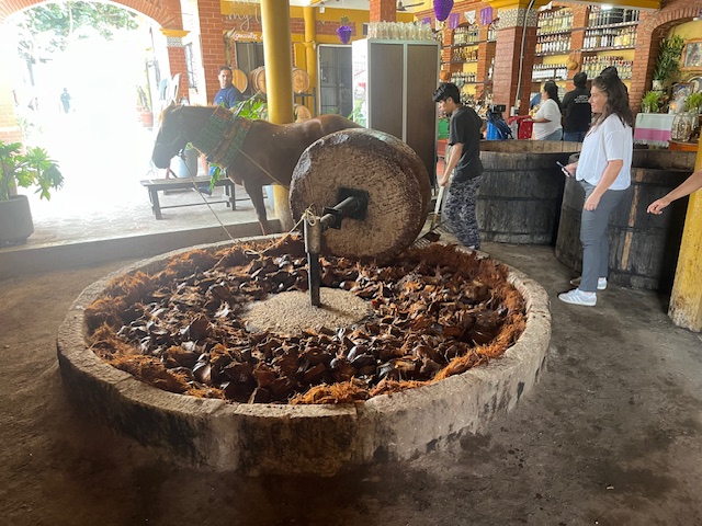 Mexico Oaxaca
